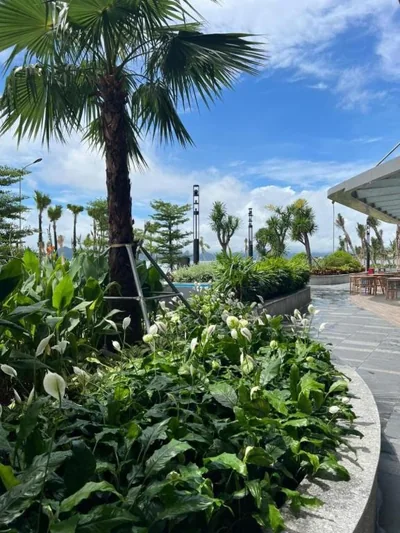 Alacarte condo - right on beach - high floor – 照片 7